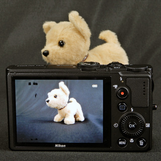 Nikon デジタルカメラ COOLPIX P310 1610万画素 光学4.2倍ズーム Usedの画像