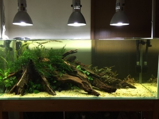 取引中なので受付中止中です。