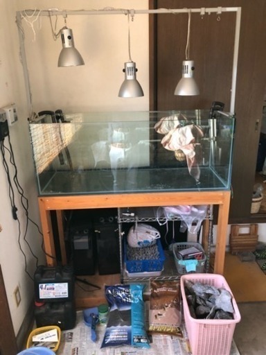 取引中なので受付中止中です。