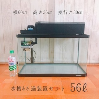 水槽&ろ過装置セット