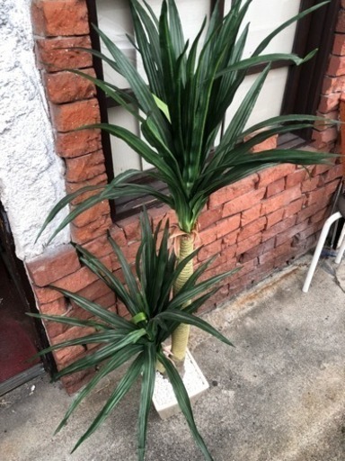 観葉植物 造花 人工樹木
