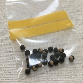 【フウセンカズラ 種】 グリーンカーテンにできるかも 20粒