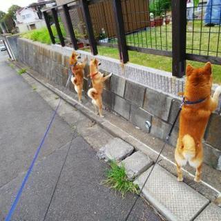 便利屋です