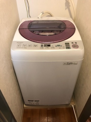 【5/3(金)まで】SHARP 全自動洗濯機 8.0kg