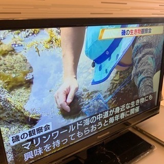 ✨テレビお譲りします✨