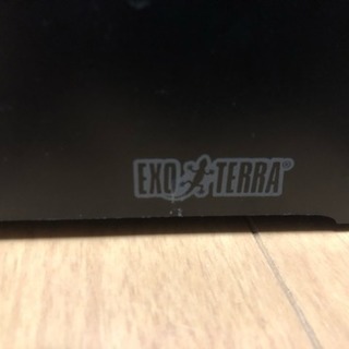 エキゾテラ コンパクトトップの画像