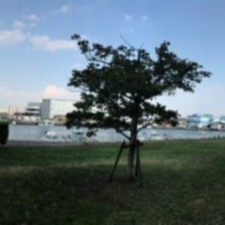 運動友達大募集！🏀⚽️🛹🏐