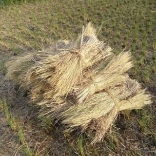 稲わらと生活用品の物々交換希望