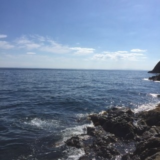 関西方面で磯釣り行きましょう