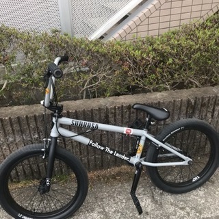 サブローザ かなり新しい