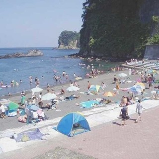 伊豆大島ライフガード（海・プール監視員🚑医療員）の画像