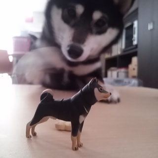大人のサークル！