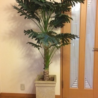 フェイクグリーン 観葉植物の画像