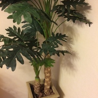 フェイクグリーン 観葉植物