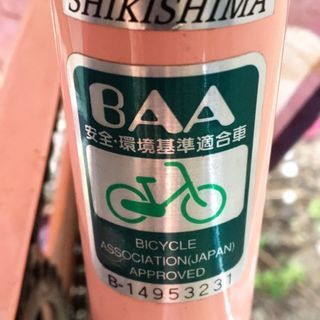 自転車　子供乗せ　ママの画像