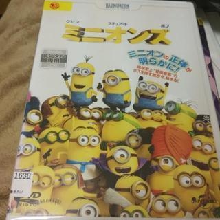 中古 ミニオンズ dvd