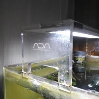 ADA ライト付水槽一式