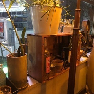 平日午前WEB制作シェアカフェ会 - 渋谷区