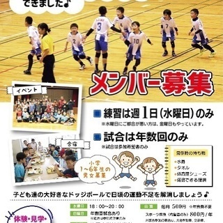 週1日のみのドッジボール メンバー募集