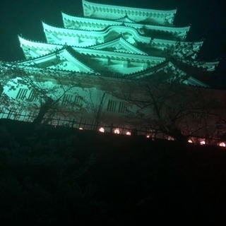 バツイチ会メンバー募集