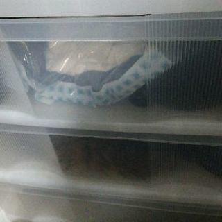 三段収納