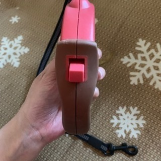 小型犬用のリードの画像