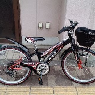Panasonic RIDER JR[ライダージュニア]22吋 ...