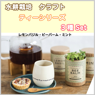 新品 水耕栽培 クラフト・シード・スターターキット ティーシリー...