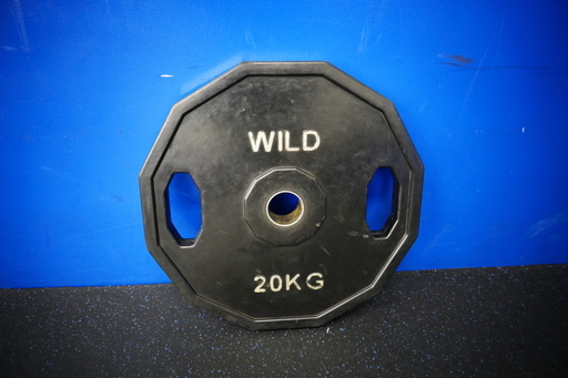 オリンピックバーベル プレート