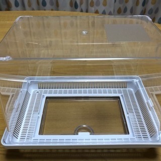 丁度良い虫かごの画像