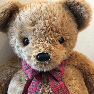 ジャンボ ベアー 最終値下げです