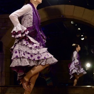 国分寺駅前『フラメンコスタジオマグダレーナ』の画像