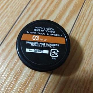 フィックスピグメントの画像