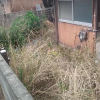 須惠町、平屋の裏庭の草刈り。