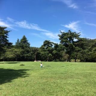会ったり、遊べる方いませんか？