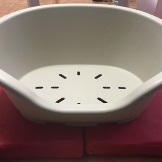 早い者勝ち🐶！小型犬用 ベット(プラスチック製.中古)