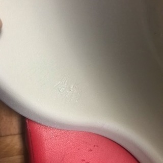 早い者勝ち🐶！小型犬用 ベット(プラスチック製.中古)の画像