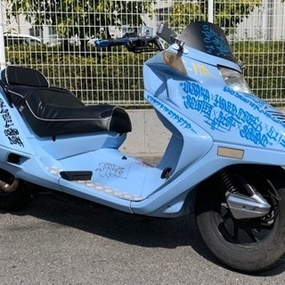 フュージョン250 タギング仕様