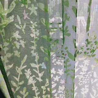 リーフが透ける綺麗なレースカーテンの画像