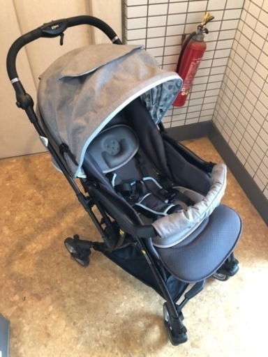 Pigeon ランフィリノン