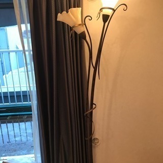 花形照明の画像