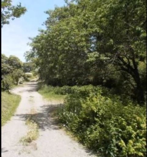 関東でも人気の高い避暑地の物件北杜市小淵沢町山林114坪