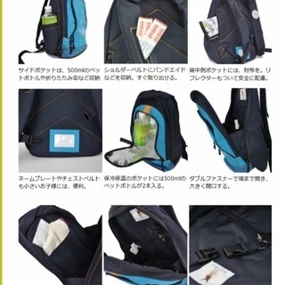 レッシグ リュック  スターライトピンクの画像