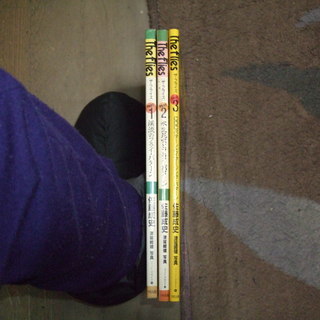 （つり）フライフィッシング専門書フライパターンの参考に、著者は有名なフライフィッシャー佐藤成史氏の画像