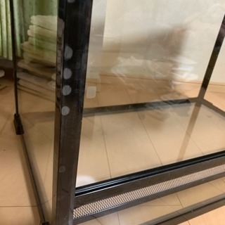 爬虫類 ケージセット フトアゴヒゲトカゲ飼育にの画像