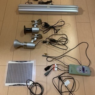 爬虫類 ケージセット フトアゴヒゲトカゲ飼育にの画像