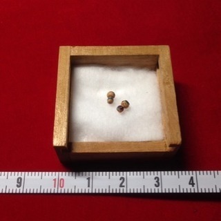 送料込 極小 こけし 夫婦 ケース付き 江戸時代⁈の画像