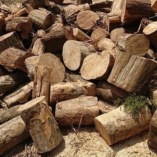 ♪薪割♪薪ストーブの燃料♪BBQとして♪積み放題♪無料♪八街市♪ の画像