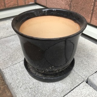 Sold out 鉢＆水受け皿
