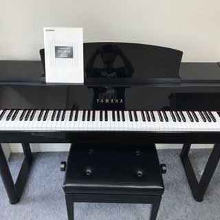 ヤマハ DGP-5の画像